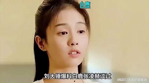 刘大锤最新爆料白鹿视频,揭秘娱乐圈幕后真相