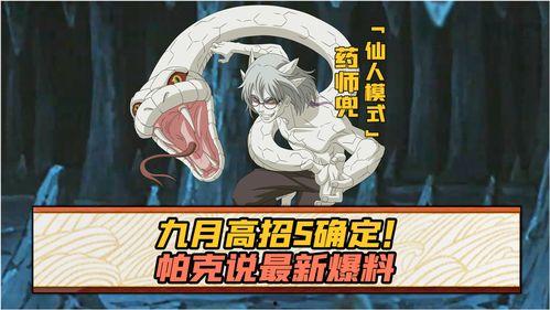 高招s忍最新爆料,揭秘忍界新势力崛起之谜