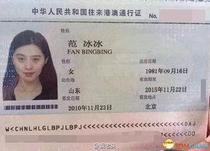 通行证最新爆料新闻,通行证政策调整背后的重磅新闻曝光