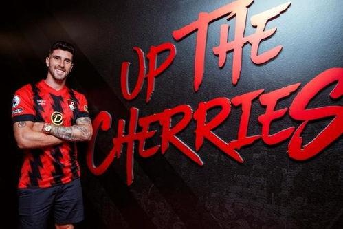 伯恩最新爆料消息,揭秘神秘事件背后惊人真相